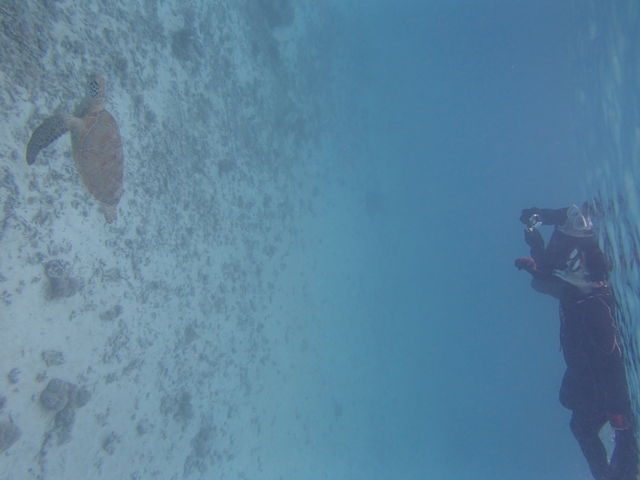 �ʐ^���������̂܂܂ł��B�E�����ʂł��B�ꏏ�ɗD��ɁA�ō��ł����B_BIGHOLIDAY-TRIP