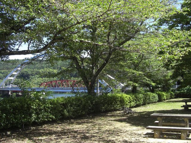 �����͔��S�Ë��������΂ł�_�h������