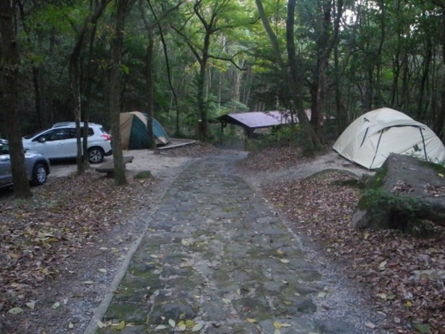 _ChKXg̏ЎRӂ邳ƎRLv̓eʐ^1