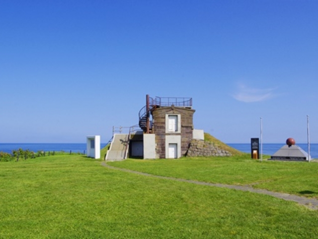 �ǂ��i�F�ł��B_���C�R�]�O