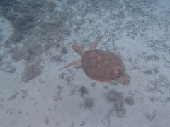 BIGHOLIDAY-TRIP̎ʐ^1