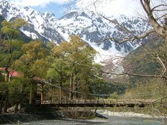 낿񂳂͓̉ւ̓eʐ^1