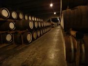 Ղ邯񂳂̃Tg[R̓eʐ^1