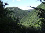 ߂ڂڂ̂߂z̐X̓eʐ^2