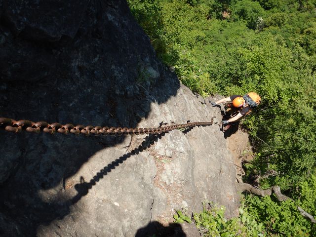 ��߂��ƌĂ΂�鍽��ł��B
�r�͂�������܂��B_���`�R