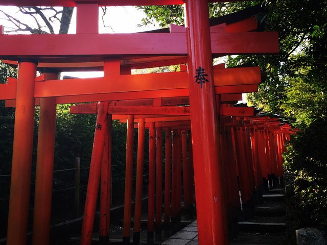 �s��̃I�A�V�X�I�����������̂ł�_���Ð_��