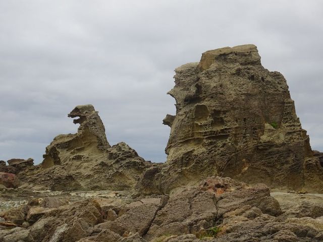 �j�����C��_�j�����C��