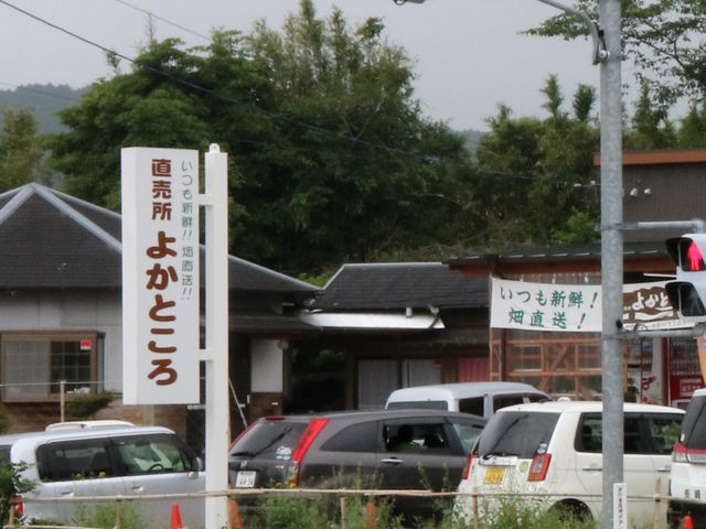 Ƃ񂳂̓Yi悩Ƃ̓eʐ^1