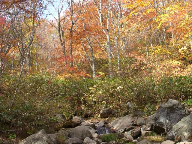 _t߂̍gti1024j_򃖊x