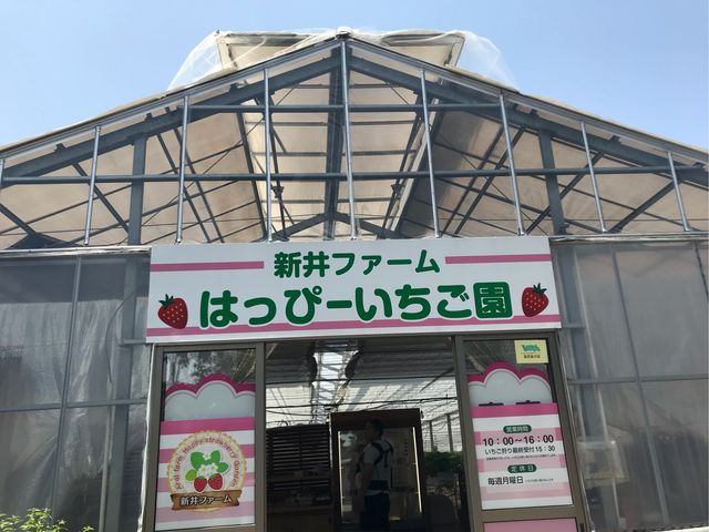 ���邭�Ėڗ��Ŕ�_�V��t�@�[���͂��ҁ[��������