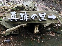 ~i̐^H[@^̗ւ̓eʐ^1