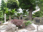 }[̔mԂ̋i䓰j̓eʐ^1