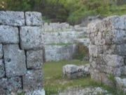 ���i����̒m���^�ǖL���e�̕�̓��e�ʐ^1