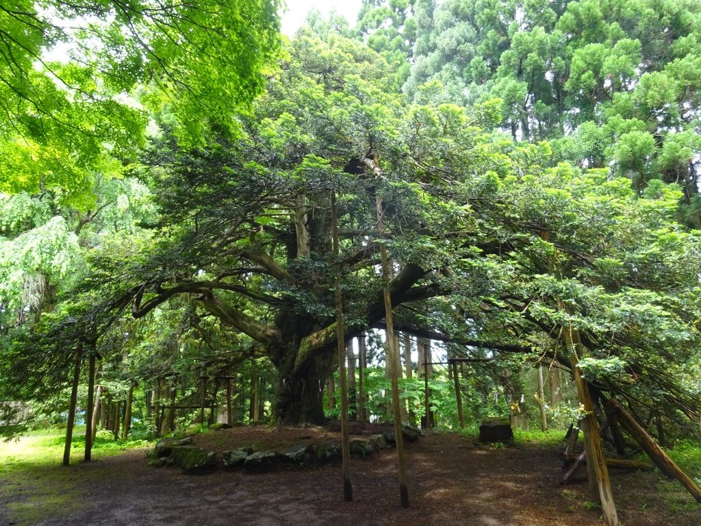 真山神社 アクセス 営業時間 料金情報 じゃらんnet