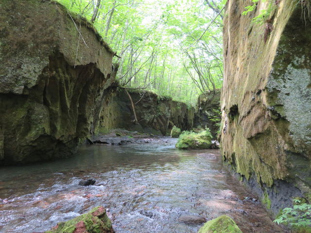 ���邢����_�M�O�K���[