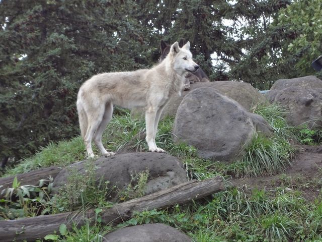 �I�I�J�~_���R������