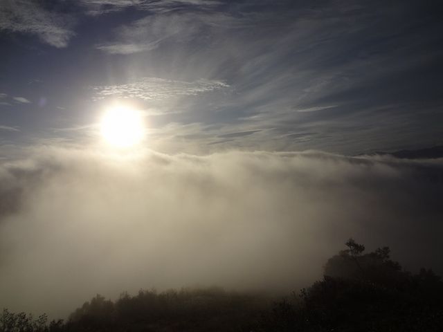 ���̏o_���샊�]�[�g�@�g�}�� �_�C�e���X