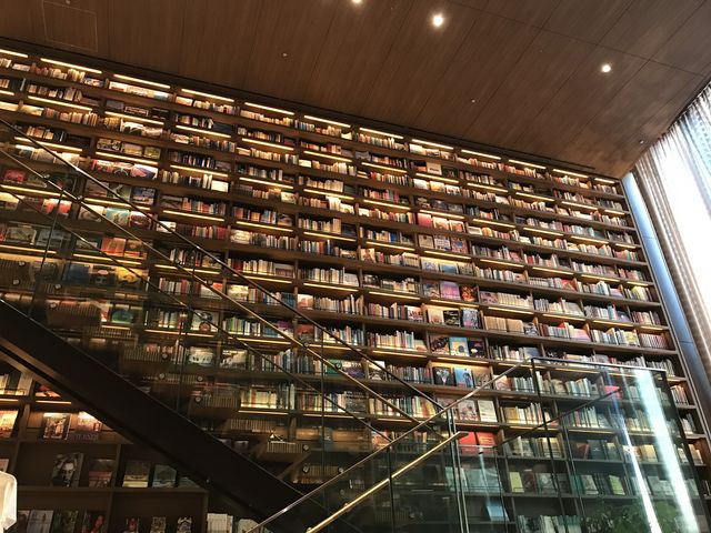 �A�[�g�ȋ��_����T-SITE