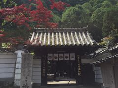 ݂񂳂̖@N@ւ̓eʐ^1