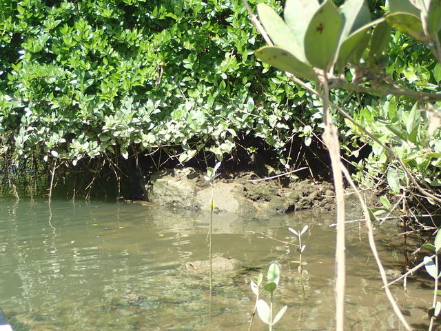 }O[u̖؂߂Č܂_JbN C[Y