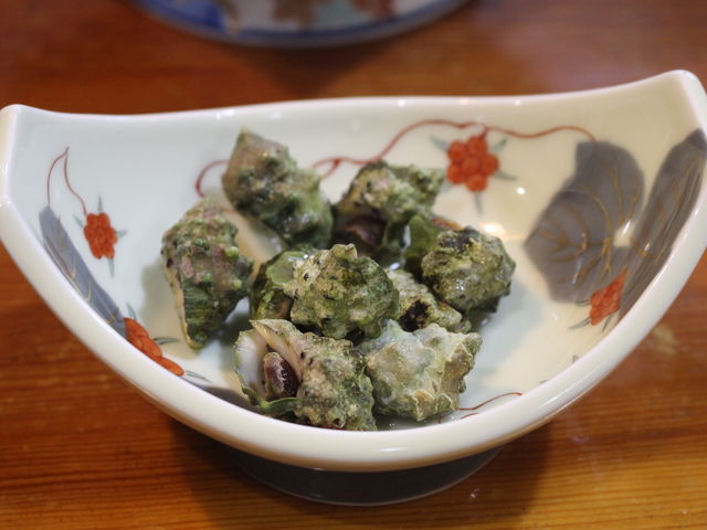 ܂ɂĂꂽȃTUĜ悤ȊL_Ȃ