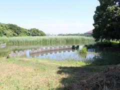 ܂ҁ[̏KusJÊRώ@Z^[ւ̓eʐ^1