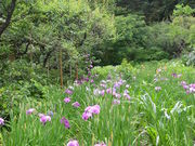 trane̓c̃niVEu̓eʐ^1