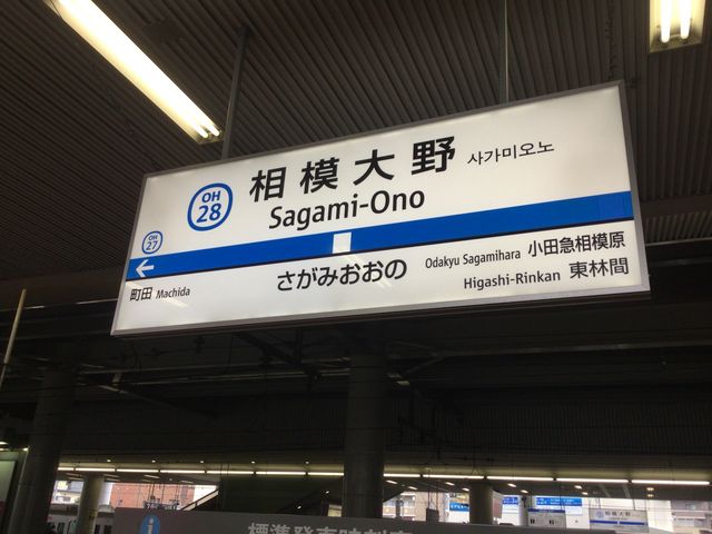 ���͑��_���c�}�d�S���͑��w