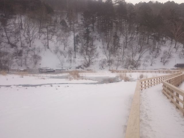 ���m������_��������������