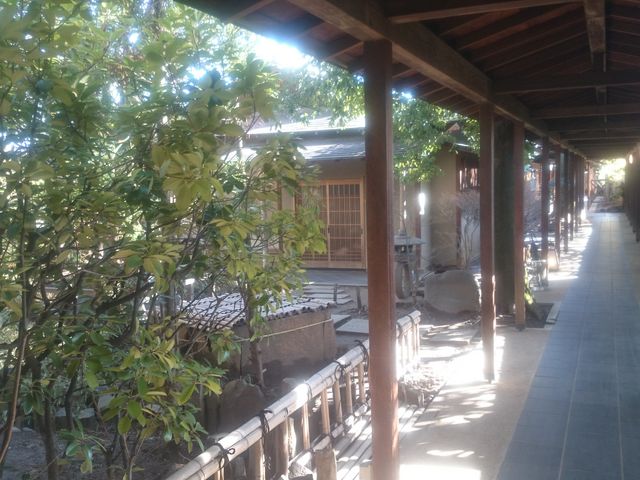 ����̕���_�b�{����