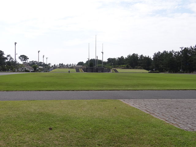 ��������_��������