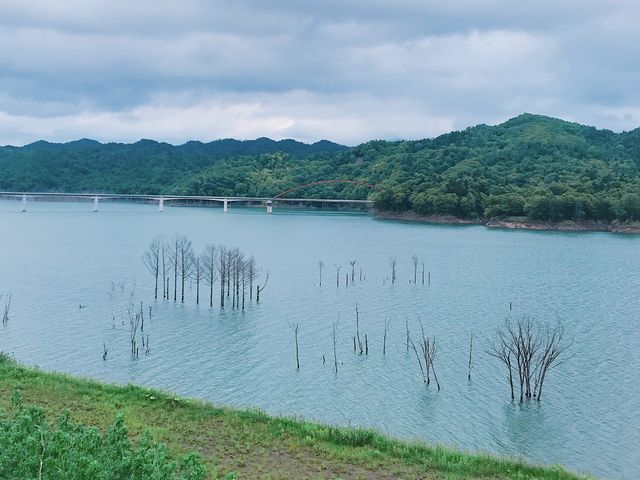 �Y��ȃV���[�p��_�V���[�p����