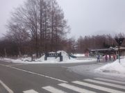 ꂨ񂳂̃XgnEXs̓eʐ^1