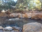 ꂨ񂳂̍b{򋽂̓eʐ^8