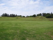 ܂[񂳂̍jՁ@RǑՂ̓eʐ^1