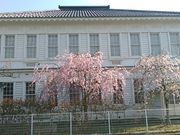 L^J̓c앶LOق̓eʐ^2