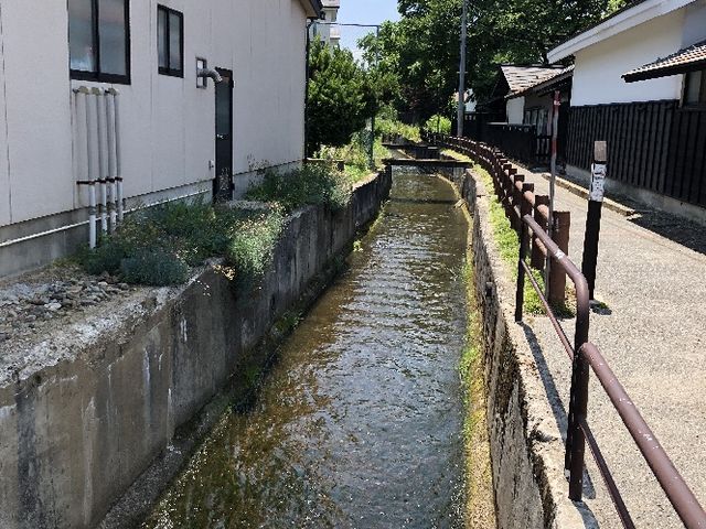 Ђ͂񂳂̍ŏtbgpXR[X^݂͂̏̓eʐ^2