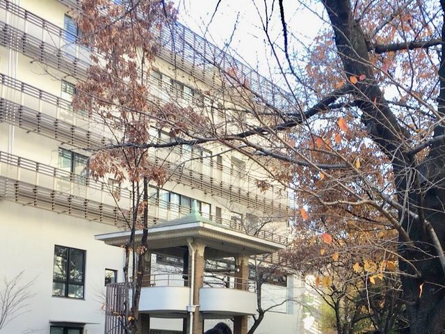 ����_�\�v����