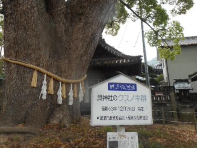 Ⴝ낤̎Rg_Ђ̃EoKV̓eʐ^1