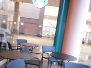 ���Ⴝ�낤����̃X�^�[�o�b�N�X�R�[�q�[ ���R�|�[�g�v���U�V�����X�̓��e�ʐ^1