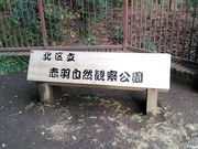 肻Ȃ̐ԉHRώ@̓eʐ^1