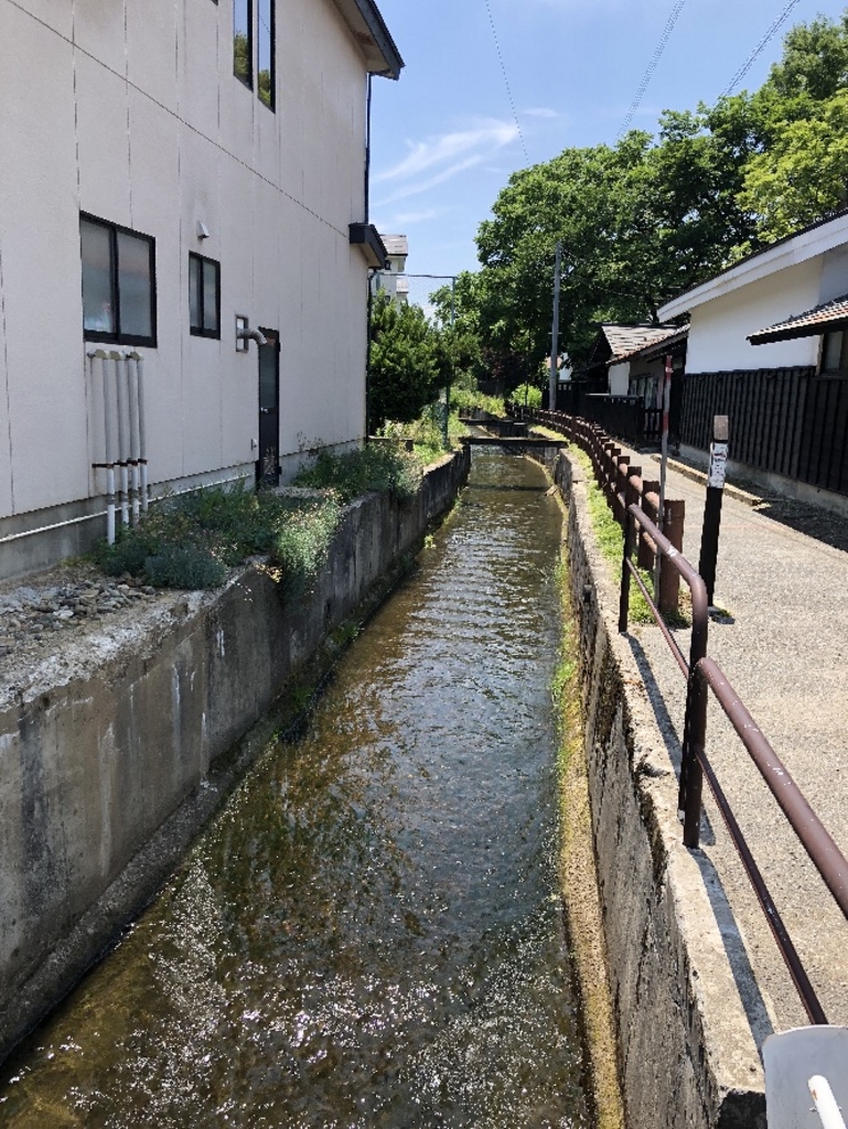 犬川駅周辺の自然歩道 自然研究路ランキングtop10 じゃらんnet