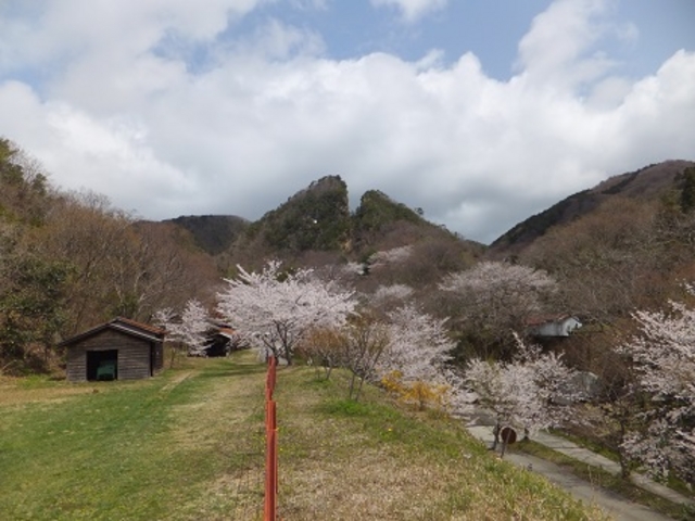 ���V�̊���_���n���R���