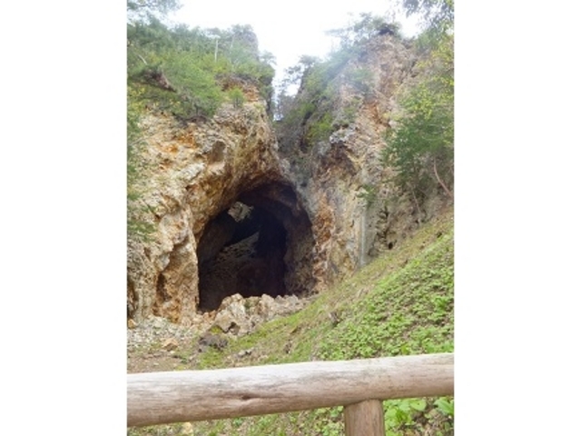 �傫�ȓ��A ���̍B���܂ő����Ă���炵��_���n���R���