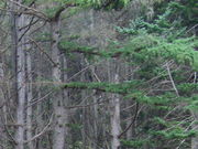 mitũtbgpX@1TR[X̓eʐ^1