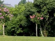 mitu����̕������̃T���X�x���̓��e�ʐ^1