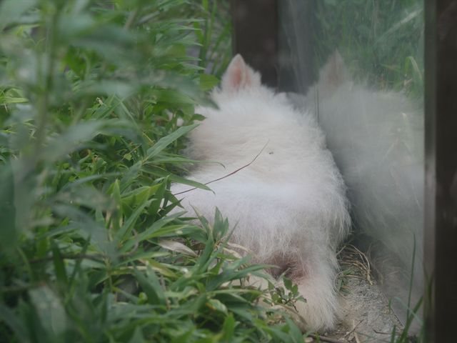 ^ȃ^kLIȂȂO܂ŗĂ܂łc_ѓcs