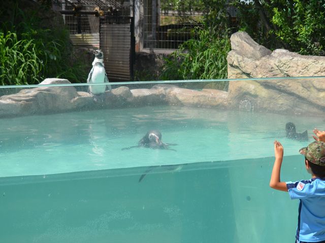 t{gyMBقƂǂɂł܂˂̃yMB_ѓcs