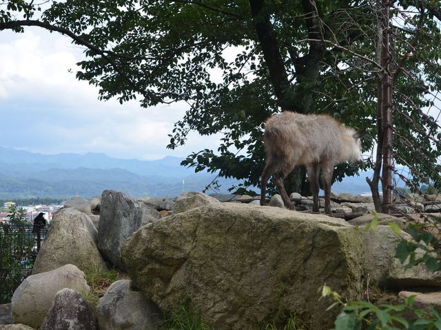 JVJBAvXʂ܂،iɂĂ܂B_ѓcs