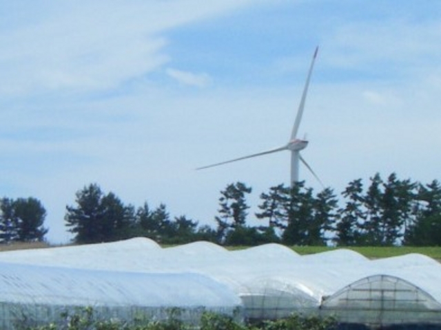 �T���T����������_�T���h�q������@�T���T����������